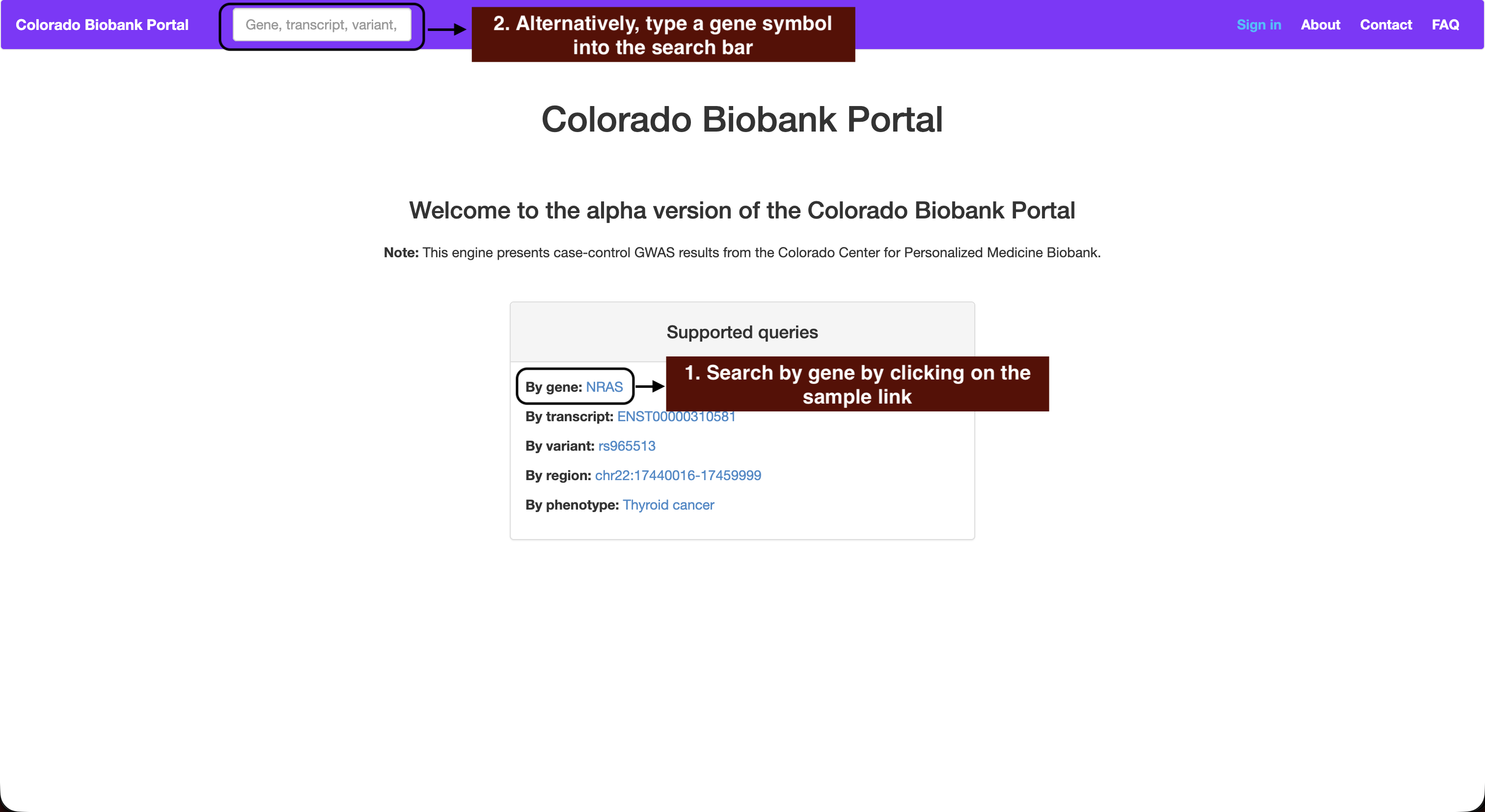 Supported queries panel on the home page