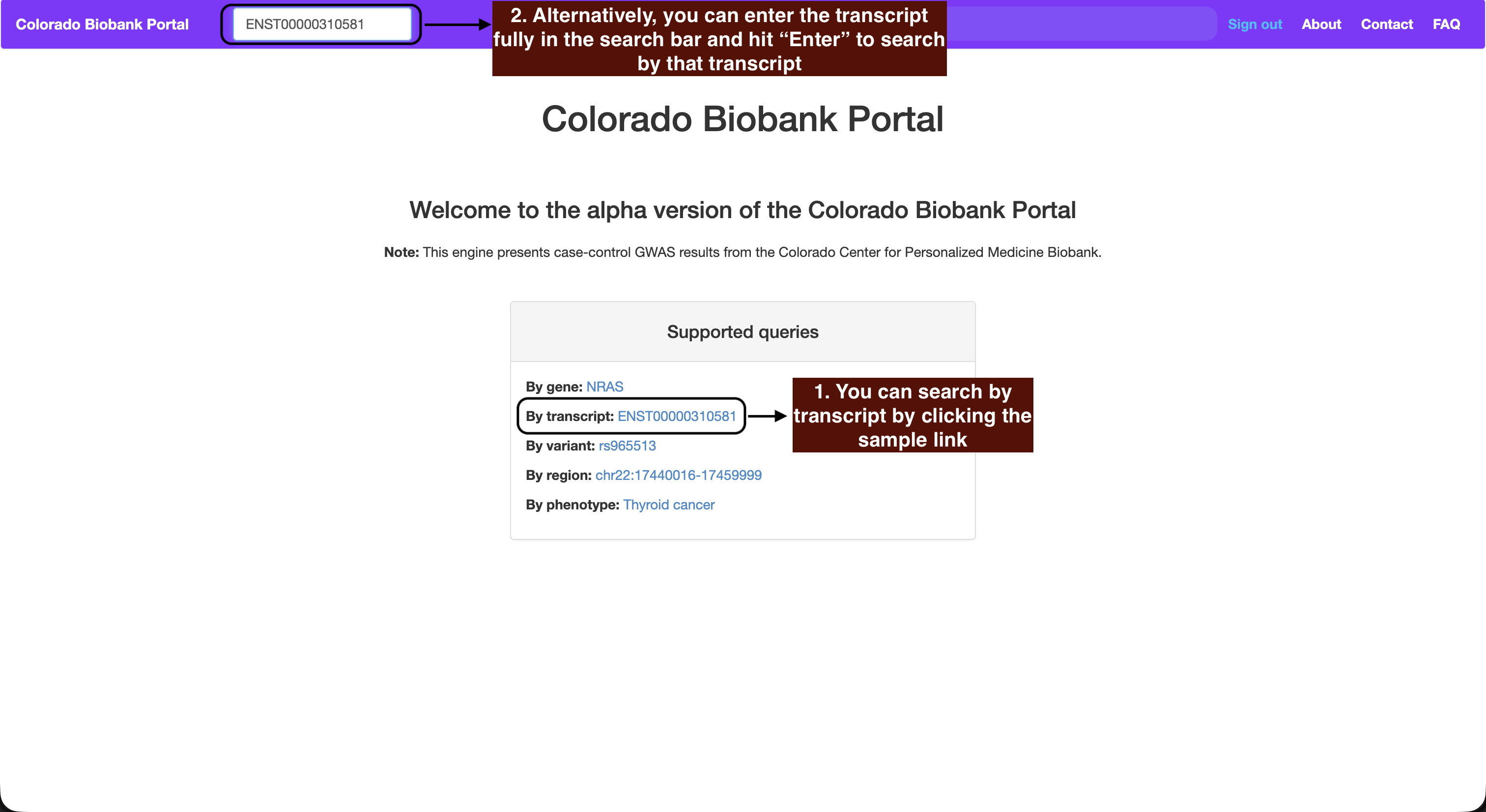 Entering an ENSEMBL transcript ID