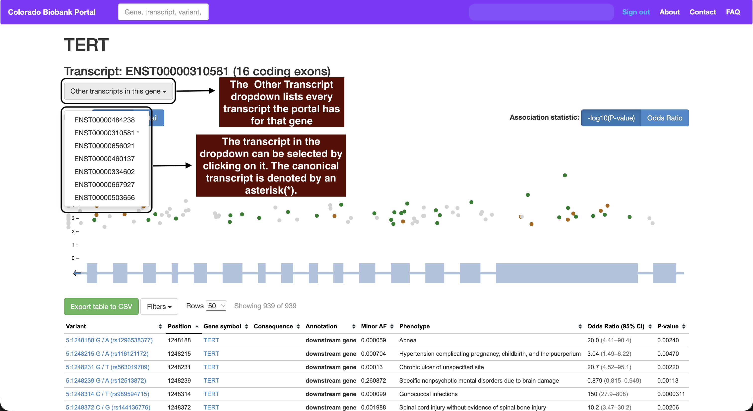 The "Other transcripts in this gene" menu