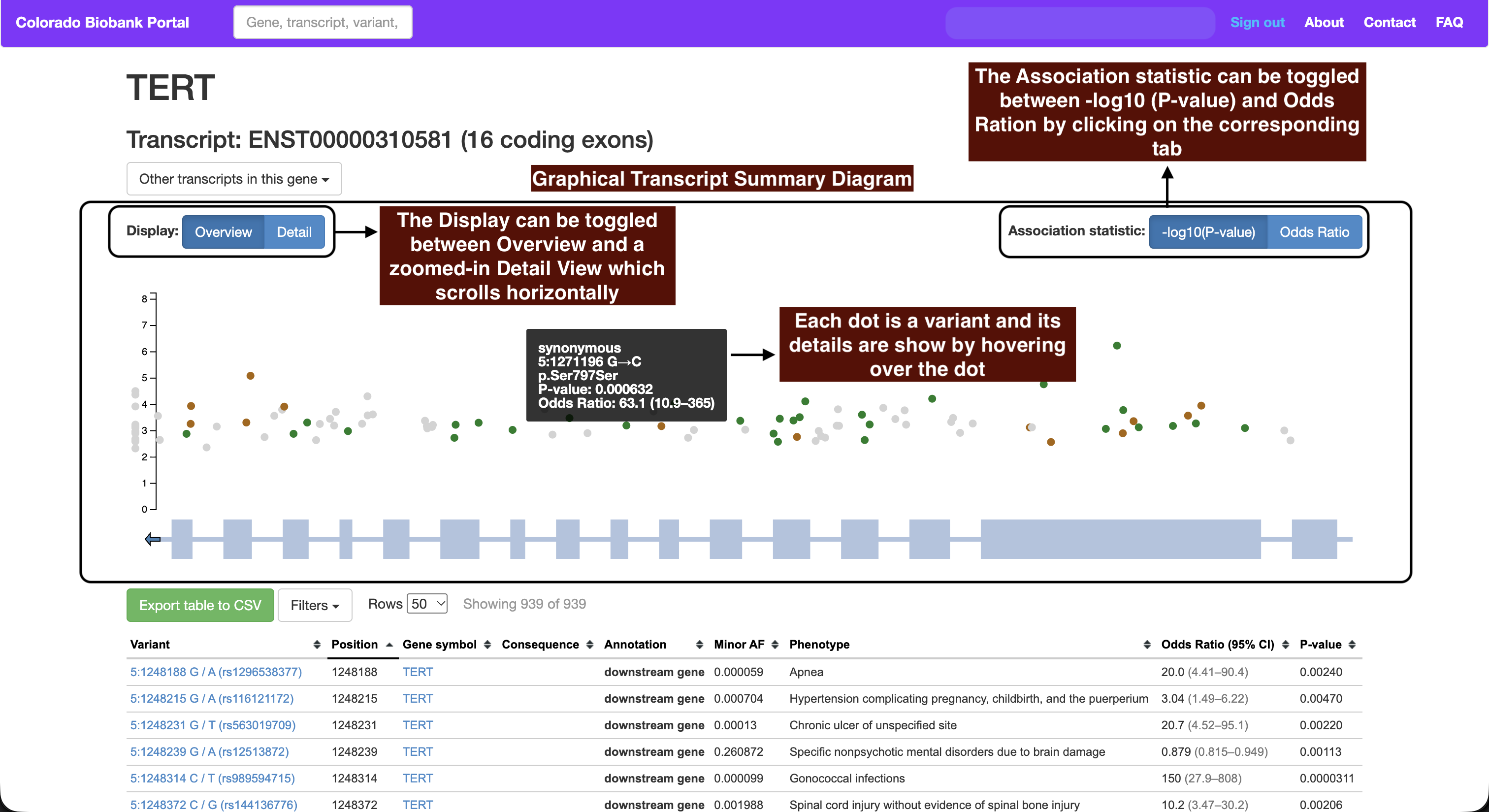 Transcript summary plot